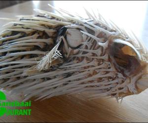 Vreemde seedier by Blousloep