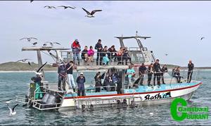 SA Blue Flag status for Marineâ€™s three vessels