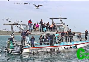 SA Blue Flag status for Marineâ€™s three vessels