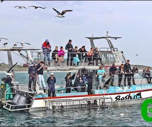 SA Blue Flag status for Marineâ€™s three vessels