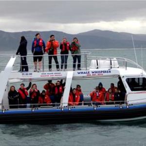 The whale watching vessel, Whale Whisperer, owned by Dyer Island Cruises. 