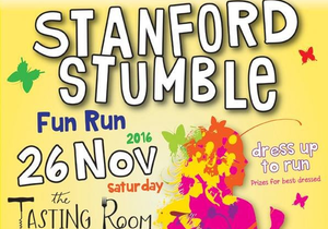 Stanford Stumble 2016