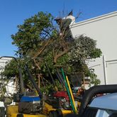 Garden refuse removal