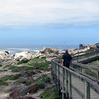 Stony Point Penguin Sanctuary