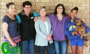 Hondehanteerder - hierâ€™s jou kans