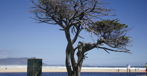 History Facts about Kleinmond