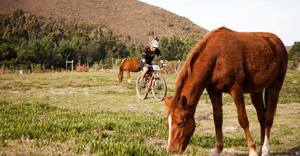 10 Things to Do in Greyton this Summer