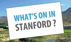 What's on in Stanford (11 - 17 November 2016)