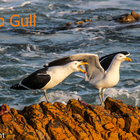 Summer is here....enjoy a break away at Aire del Mar Guest House - Kleinbaai