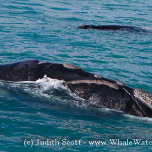 20161117_DC_Trip2_JScott_IMG_143_580x387