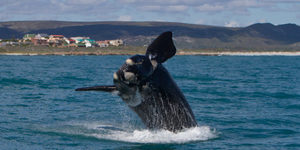 20161117_DC_Trip2_JScott_IMG_296_580x387