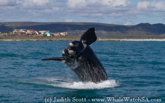 20161117_DC_Trip2_JScott_IMG_296_580x387