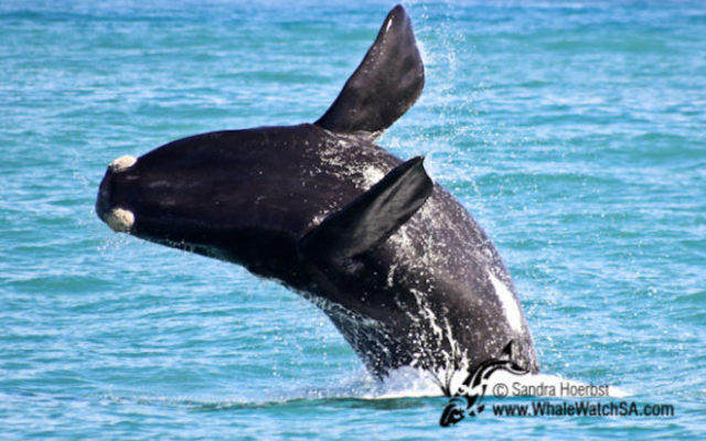 20161117_DC_Trip2_SHoerbst_IMG_130_580x387