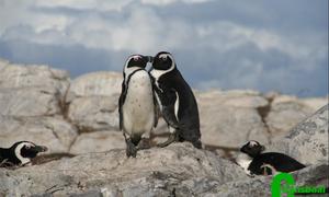 Growth in international tourism