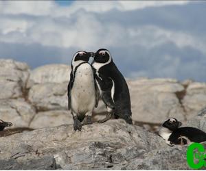 Growth in international tourism