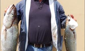 Geelbekke lÃ³Ã³p