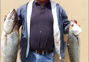 Geelbekke lÃ³Ã³p