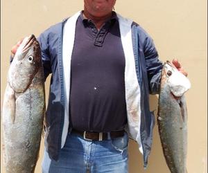 Geelbekke lÃ³Ã³p