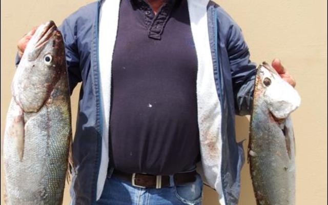 Gavin Engelbrecht met sy grootste vis vir 2016, â€˜n geelbek van 5.7kg  