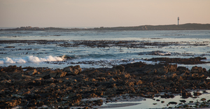 History Facts about Pringle Bay & Rooi Els