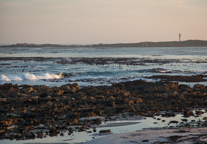 History Facts about Pringle Bay & Rooi Els