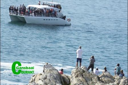 â€œDie bote kom so na aan die kant, dat jy dit met â€˜n kettie kan raakskiet van die rotse afâ€, het â€˜n bekommerde inwoner die Gansbaai Courant laat weet. Foto F de Jongh