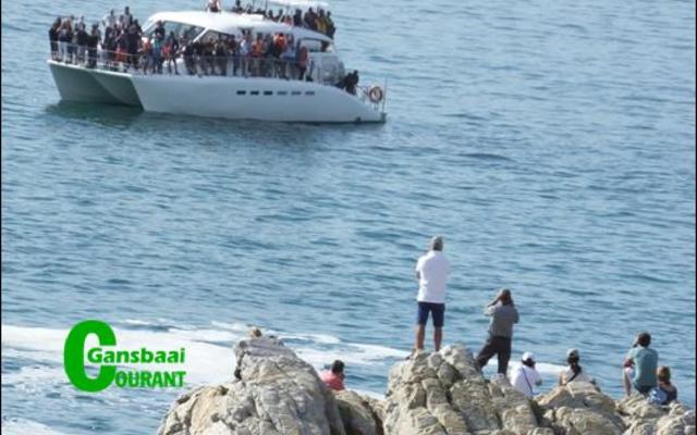 â€œDie bote kom so na aan die kant, dat jy dit met â€˜n kettie kan raakskiet van die rotse afâ€, het â€˜n bekommerde inwoner die Gansbaai Courant laat weet. Foto F de Jongh