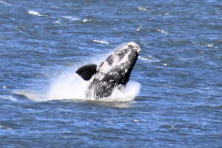 FB_IMG_1480002345856