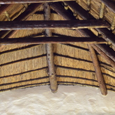 Thatch roof