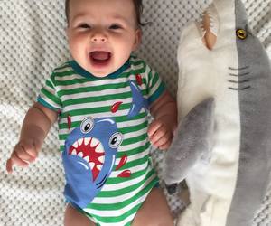 Stock up on Sharky Christmas Gifts at Shark Diving Unlimited