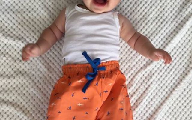 Christmas sharky baby suit at Shark Diving Unlimited