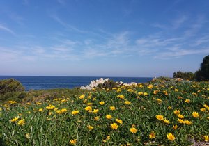 Kleinmond through the eyes of Locals