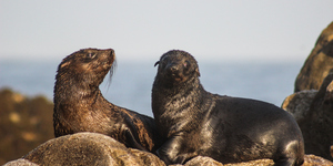 20150522_WW_Trip_OKeller_IMG_068