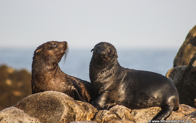 20150522_WW_Trip_OKeller_IMG_068