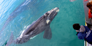 20150920_WW_Trip1_SHoerbst_IMG_00141