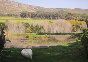 A Closer Look at Botrivier - Photo Journey