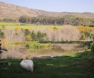 A Closer Look at Botrivier - Photo Journey