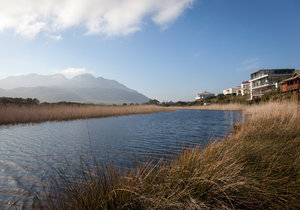 Pringle Bay & Rooi Els through the eyes of Locals