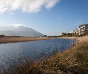 Pringle Bay & Rooi Els through the eyes of Locals