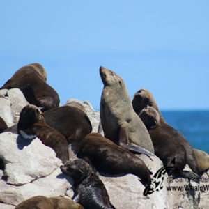 20170114_DC_Trip1_SHoerbst_IMG_26_580x387