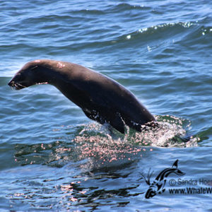 20170114_DC_Trip1_SHoerbst_IMG_36_580x387