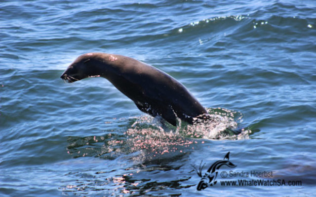 20170114_DC_Trip1_SHoerbst_IMG_36_580x387