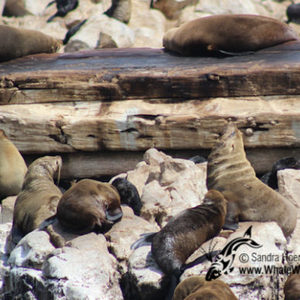 20170115_DC_Trip1_SHoerbst_IMG_66_580x387