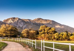 Stanford through the eyes of Locals