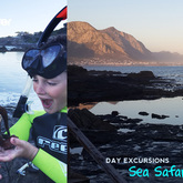 Sea Safari - Day Excursion
