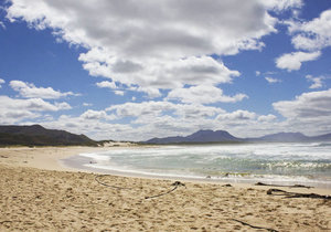 5 Fun Family Activities in Kleinmond