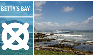 Bettyâ€™s Bay - Village Caught Between Mountains & Ocean