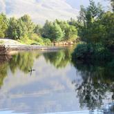 Views across the water