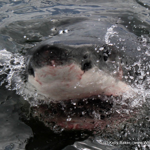 20170123_SF_Trip1_KBaker_IMG_23