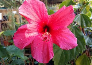 Napier through the eyes of Locals